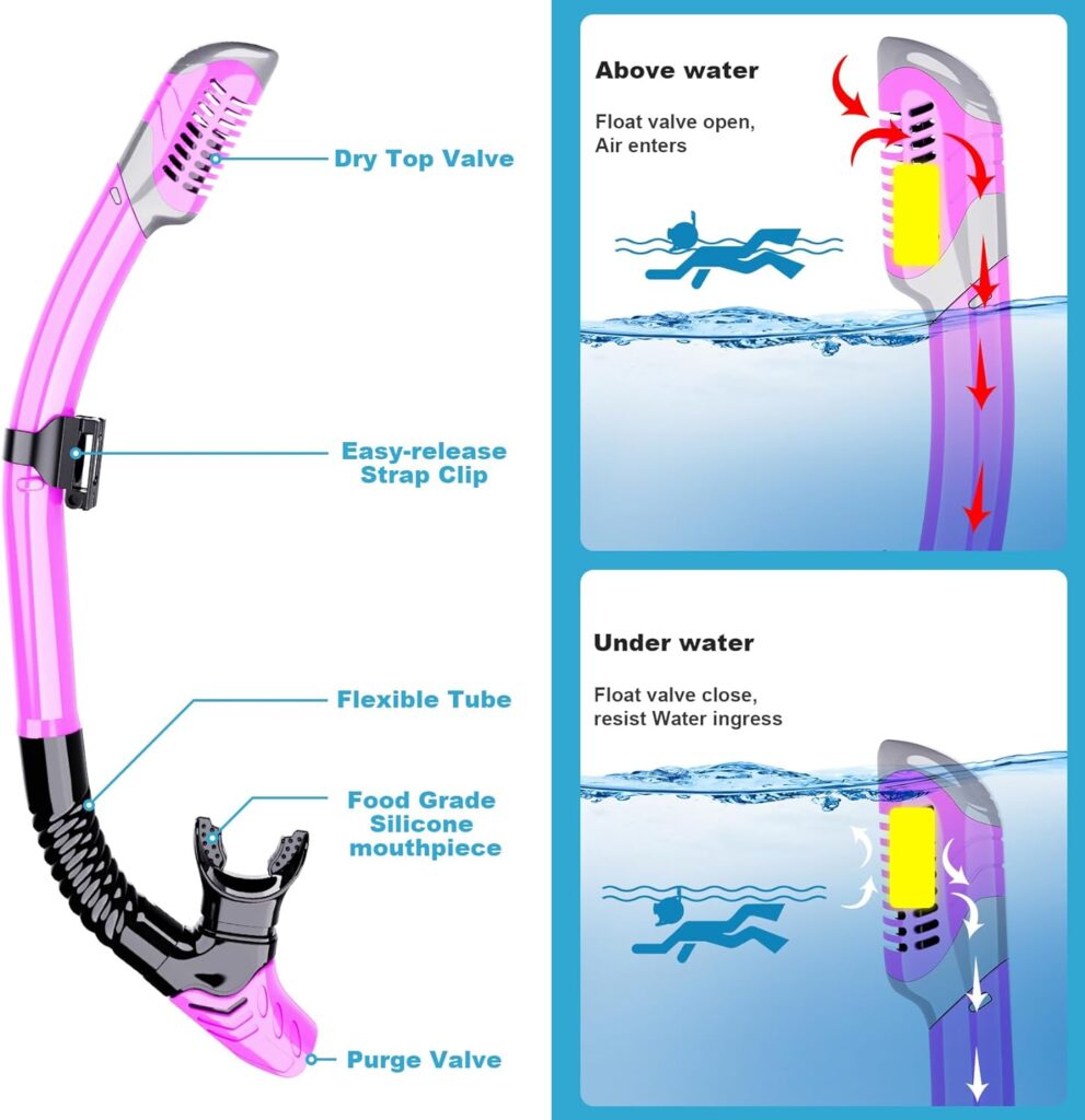 Mask Fin Snorkel Set, Snorkeling Gear for Adults with Panoramic View Mask, Dry Top Snorkel, Adjustable Swim Fins and Travel Bag, Man Woman Snorkel Gear for Swimming Snorkeling Diving