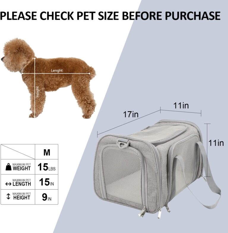 Read more about the article Top 8 Must-Have Pet Travel Accessories for On-the-Go Adventures