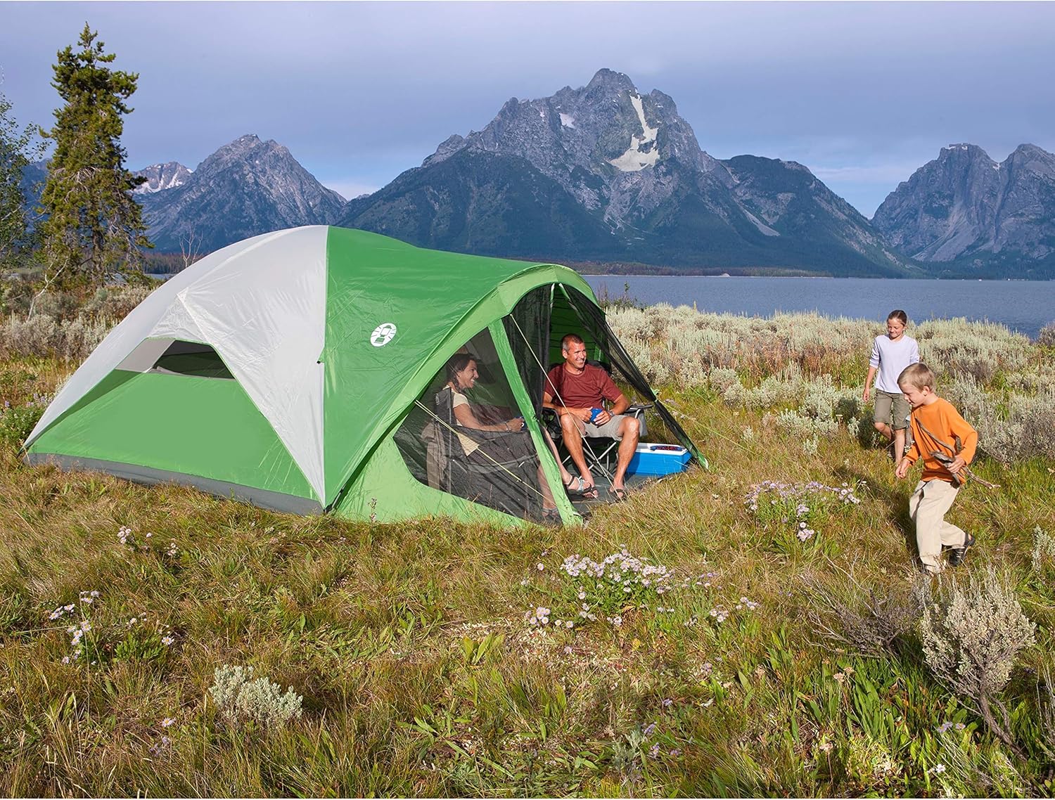 Read more about the article Coleman Evanston Screened Camping Tent Review