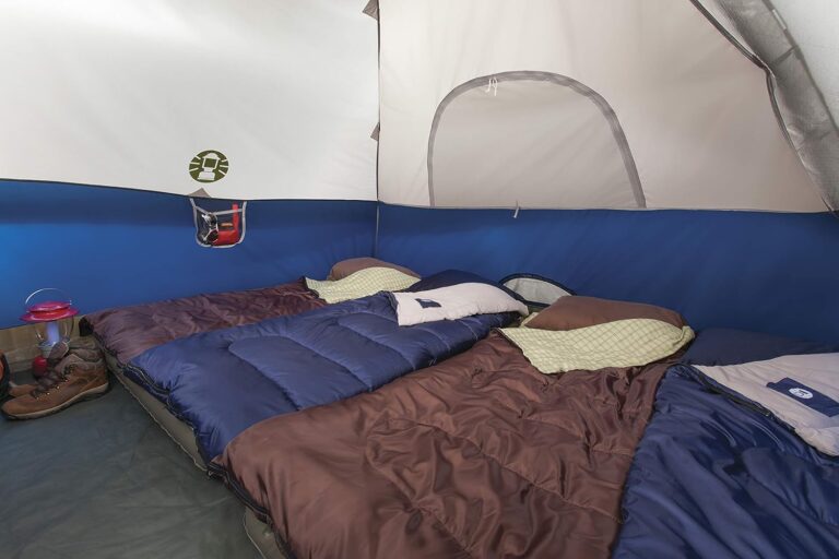 Read more about the article Coleman Sundome Camping Tent Review